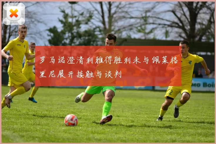 罗马诺澄清利雅得胜利未与佩莱格里尼展开接触与谈判